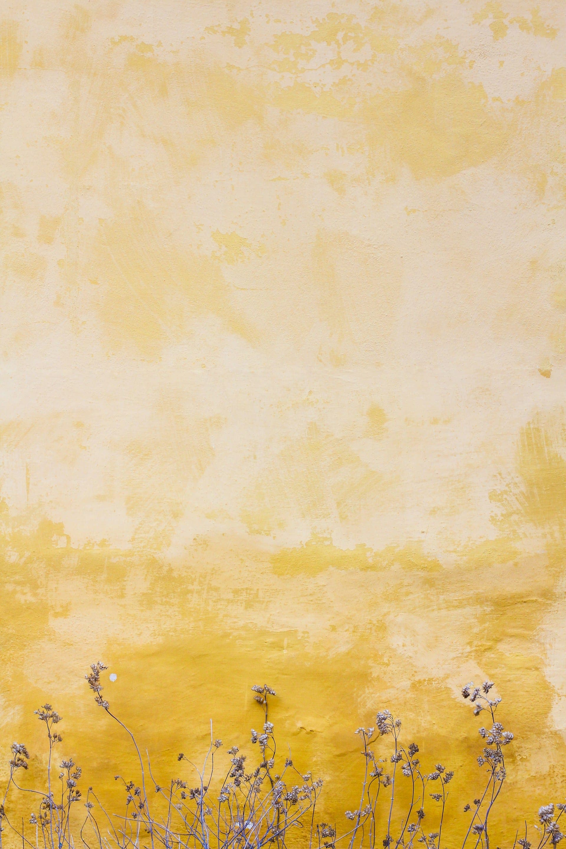 Mahdi Jafari - Software Engineer